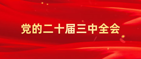 党的二十届三中全会